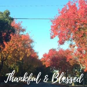 Meet your Posher, Leecee